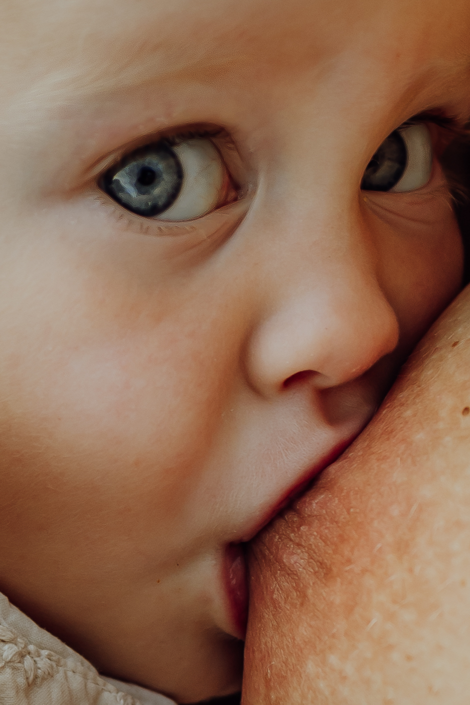 Borstvoeding fotoshoot Nederland natuur